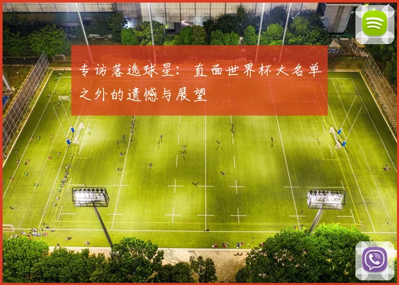 专访落选球星：直面世界杯大名单之外的遗憾与展望