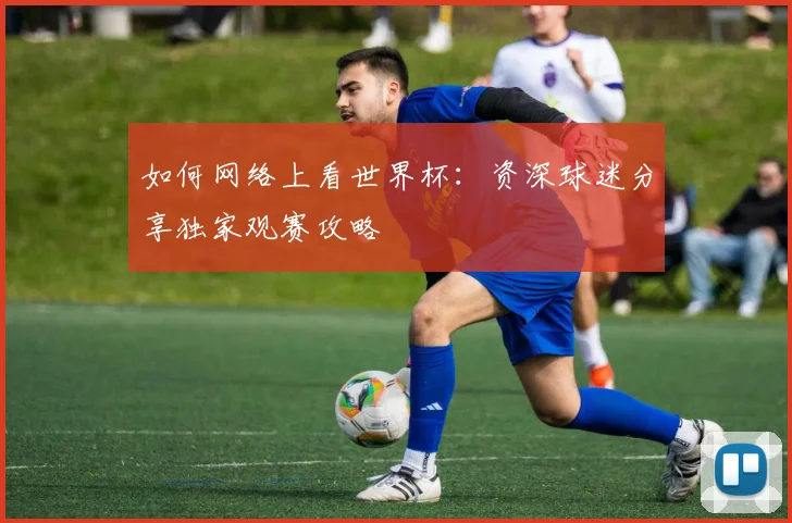 如何网络上看世界杯:资深球迷分享独家观赛攻略